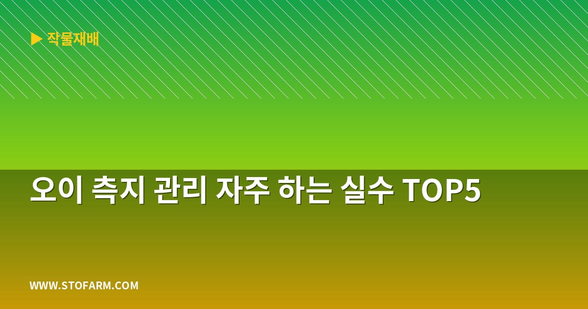 오이 측지 관리 자주 하는 실수 TOP5