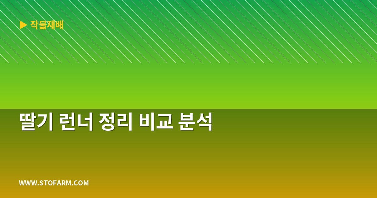 딸기 런너 정리 비교 분석
