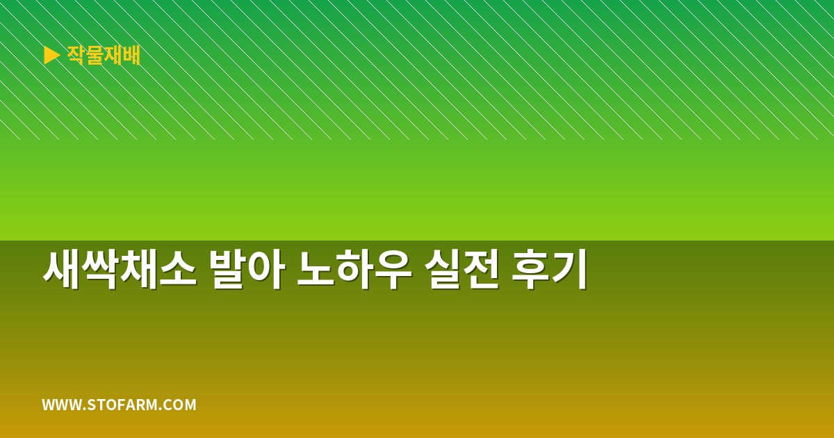 새싹채소 발아 노하우 실전 후기